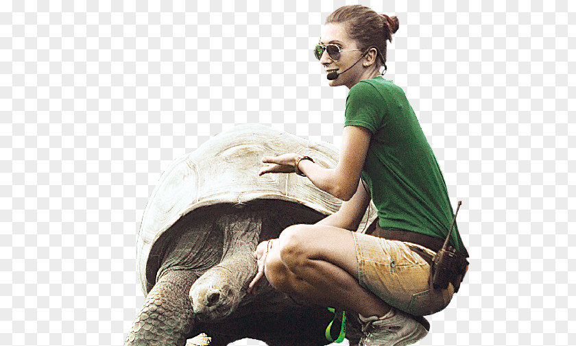 Tartar Tortoise Human Behavior Homo Sapiens PNG