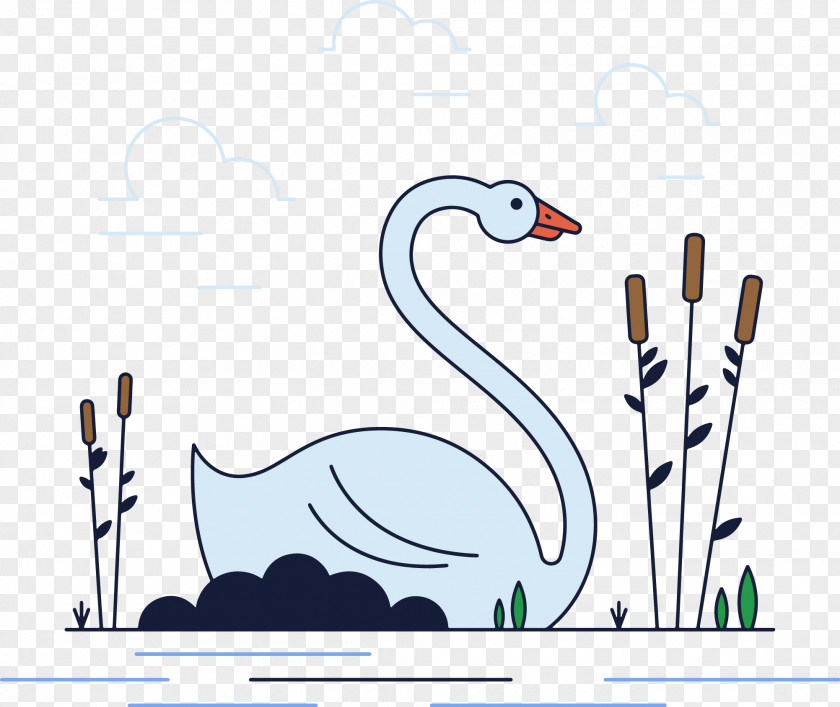 Vector Swan Cygnini Goose Duck PNG
