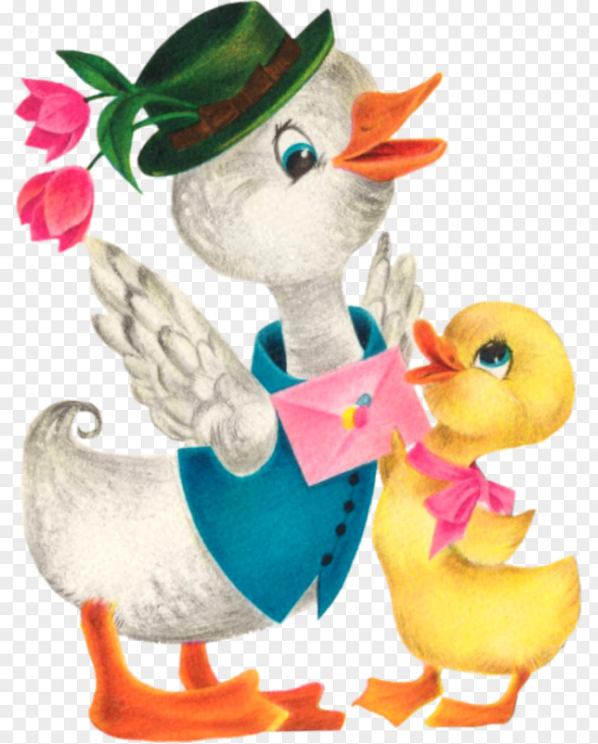 Duck Goose Easter Bunny Cygnini Bird PNG