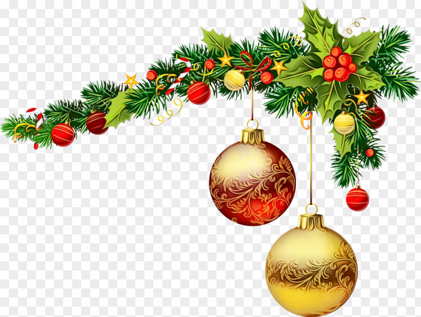 Plant Christmas Eve Decoration PNG