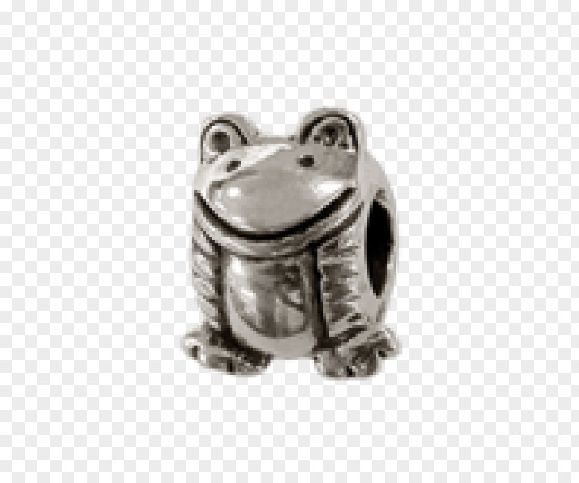 Silver Amphibian Body Jewellery Locket PNG