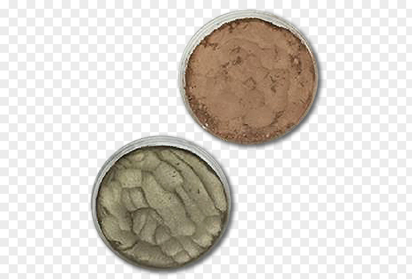 Silver Copper Material Electrical Conductor Coin PNG