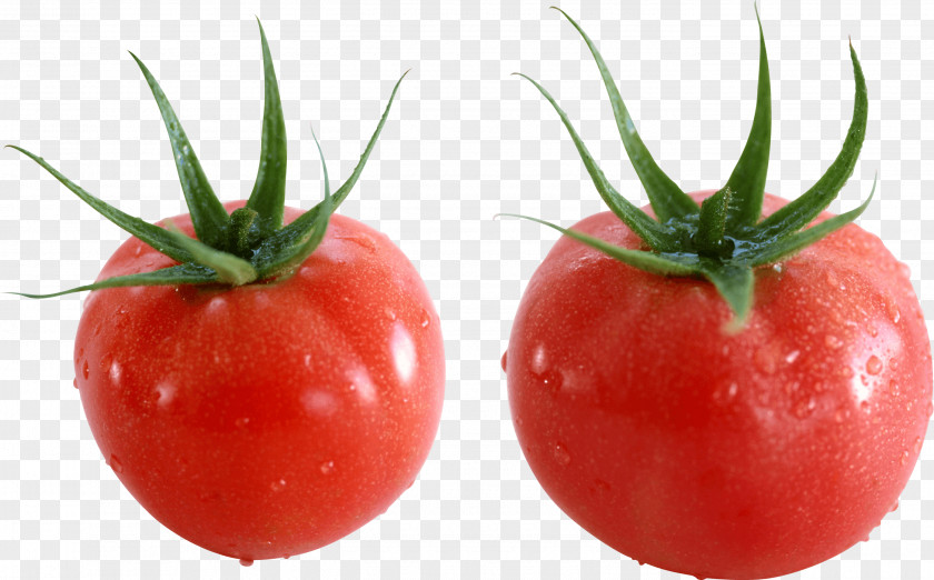 Tomato Image Plum Cherry Bush PNG