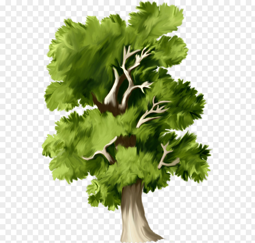 Tree Download Clip Art PNG