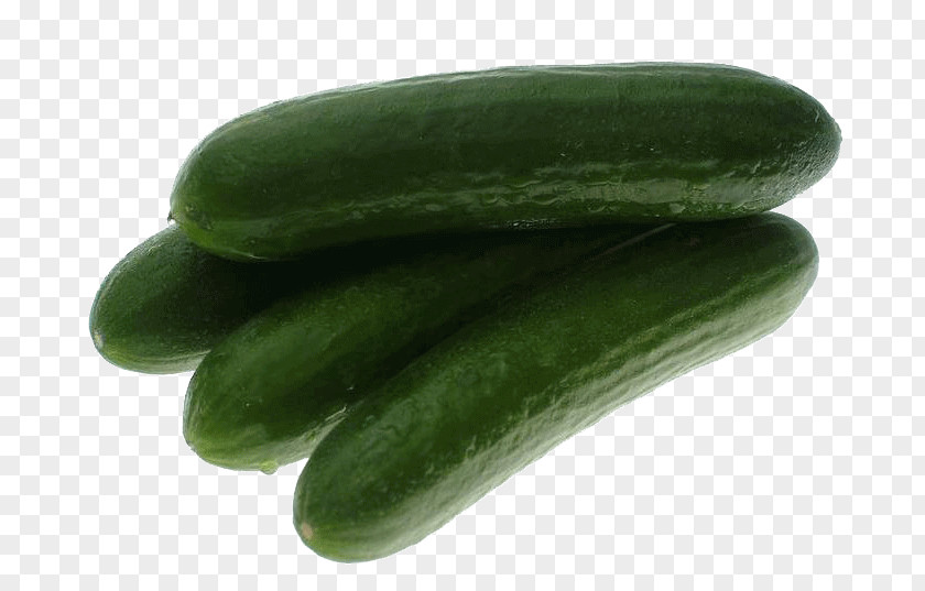 Vegetable Pickled Cucumber Spreewald Gherkins Organic Food Slicing PNG