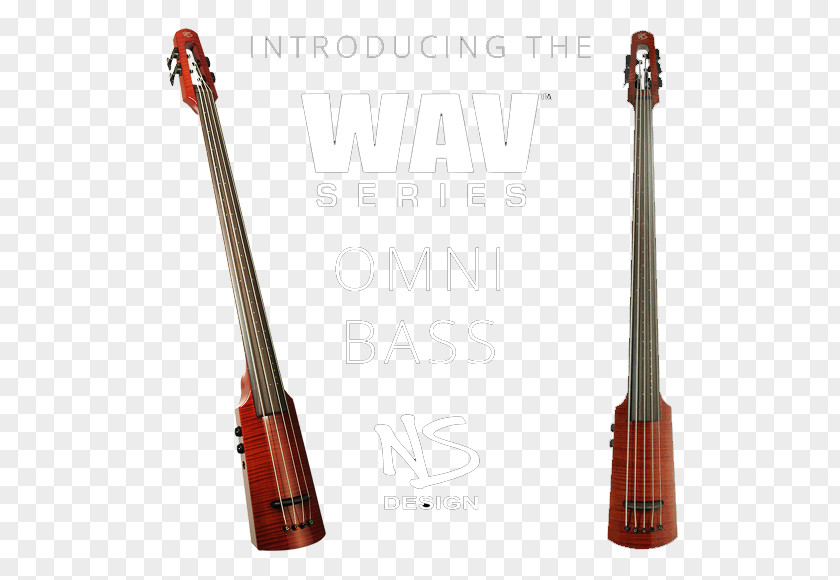 Bass Guitar Musical Instruments Double String Violin Electric Upright PNG
