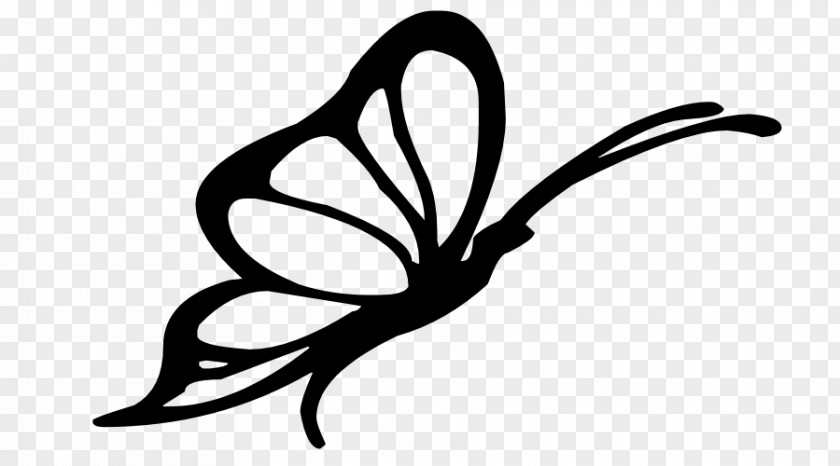 Butterfly Silhouette Cliparts Visual Arts Clip Art PNG