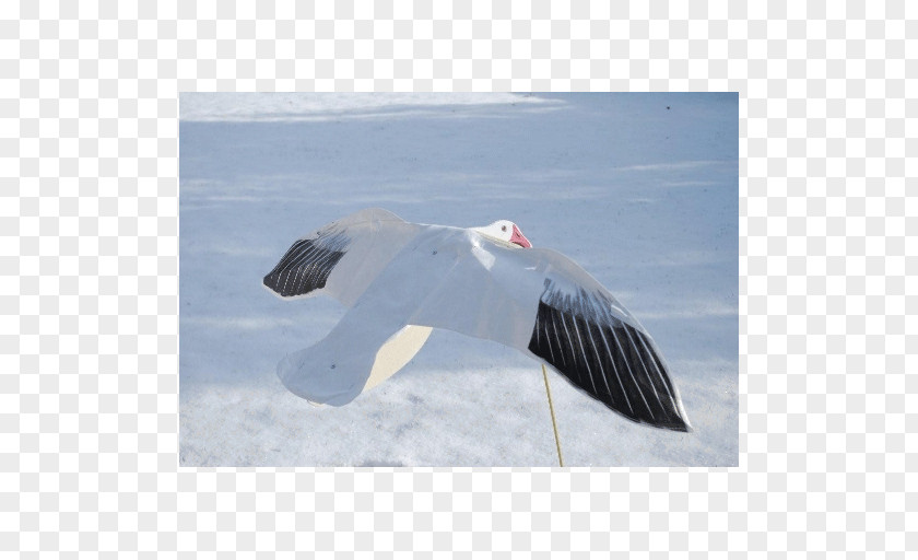 Goose Snow Decoy Waterfowl Hunting PNG