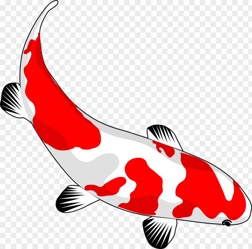 Japanese Butterfly Koi Drawing Clip Art PNG