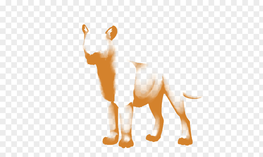 Lion Dog Big Cat PNG