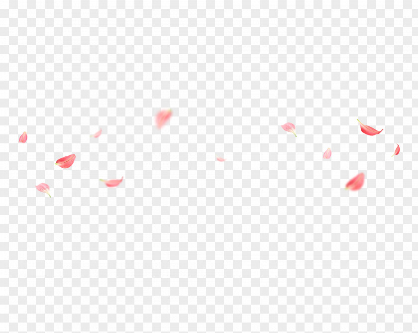 Pink Petals Falling Square Angle Red Pattern PNG
