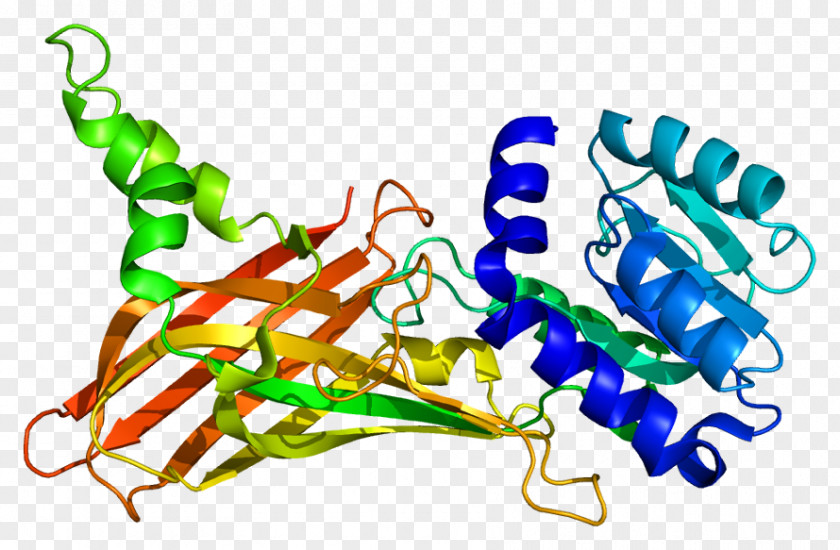 PRMT1 Methyltransferase Gene Protein Histone PNG