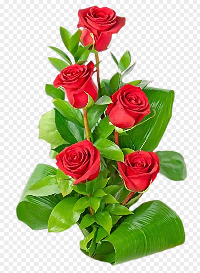 A Rose Flower Bouquet Pink Floristry PNG