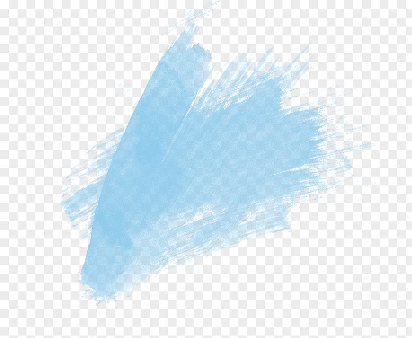 Feather Z'Spin Painter Paintbrush PNG