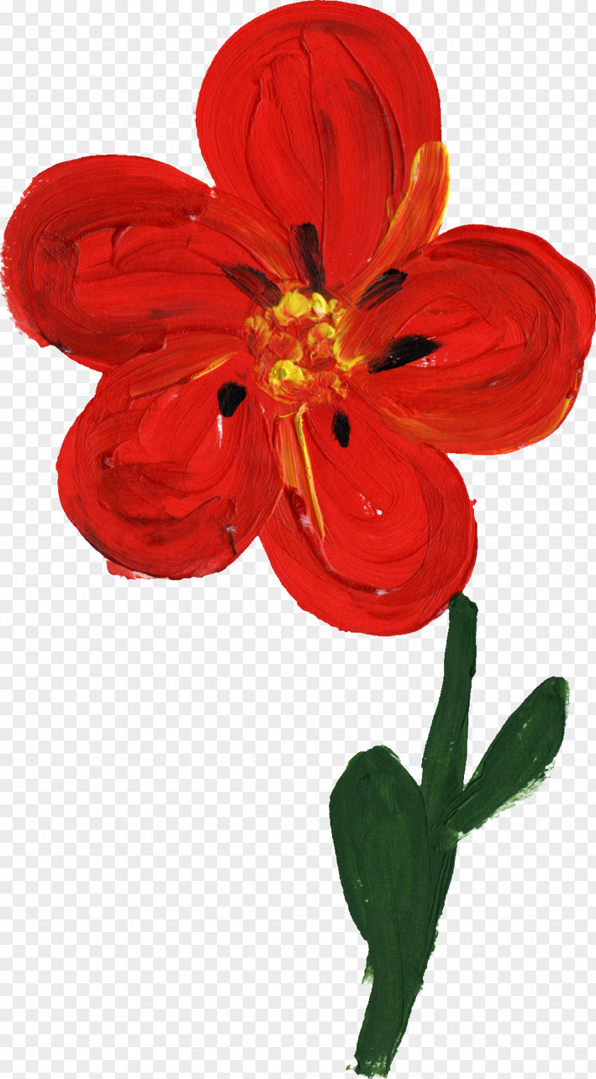 Flower Paint Watercolor Painting PNG