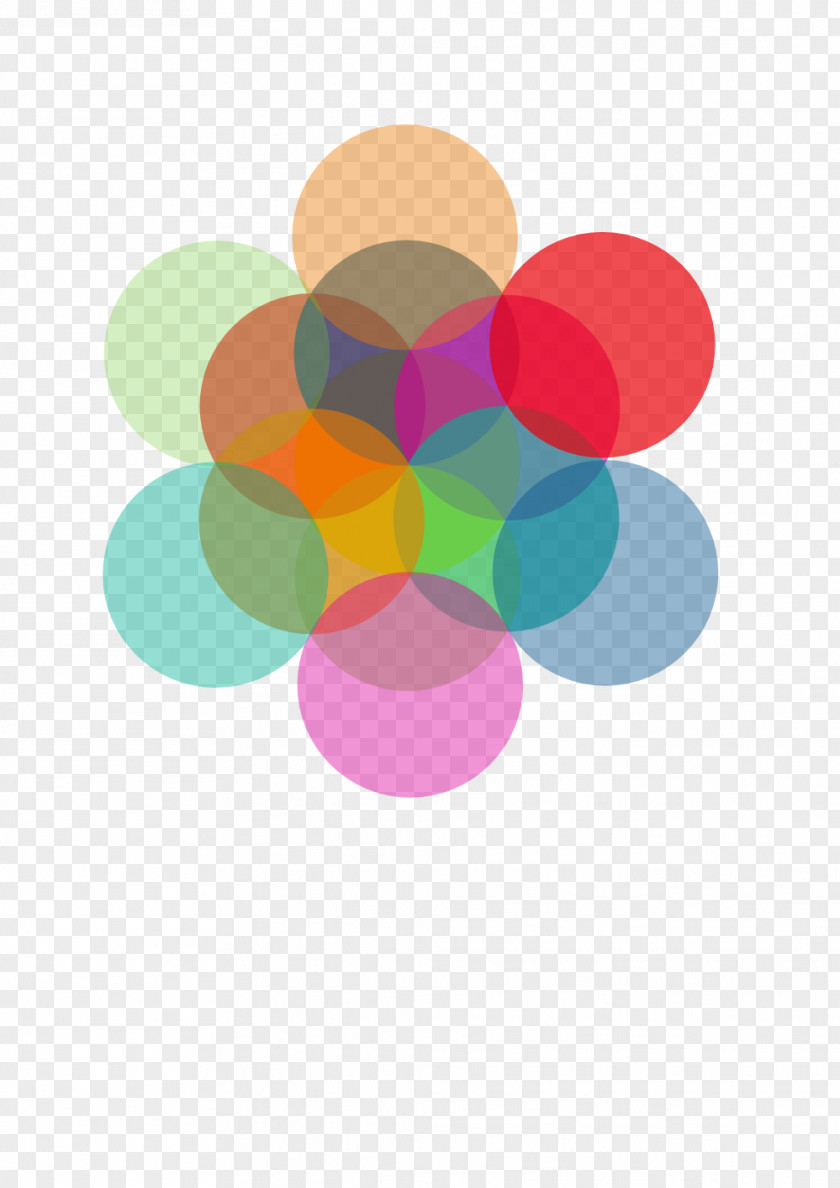 Flower Posters Clip Art PNG