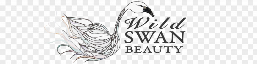 Swans Logo Calligraphy Line Art Font PNG