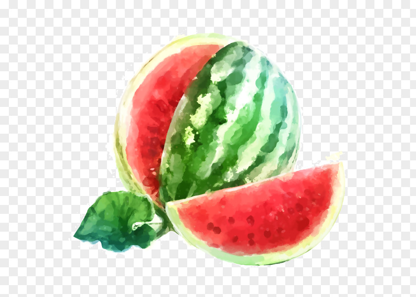 Watermelon Xiazhi Fruit Watercolor Painting Royalty-free PNG