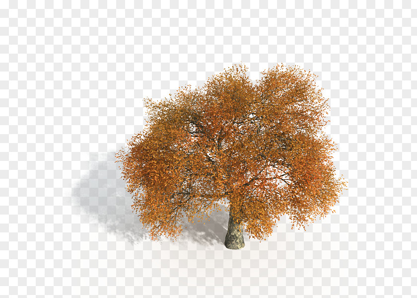 Yellow Game Tree PNG