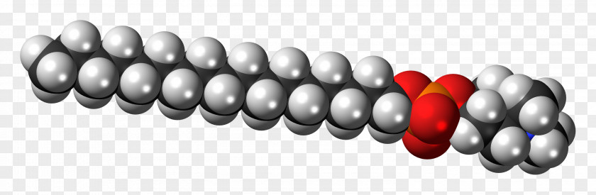 Ball Phospholipid Space-filling Model Molecule Phosphatidylinositol Zwitterion PNG