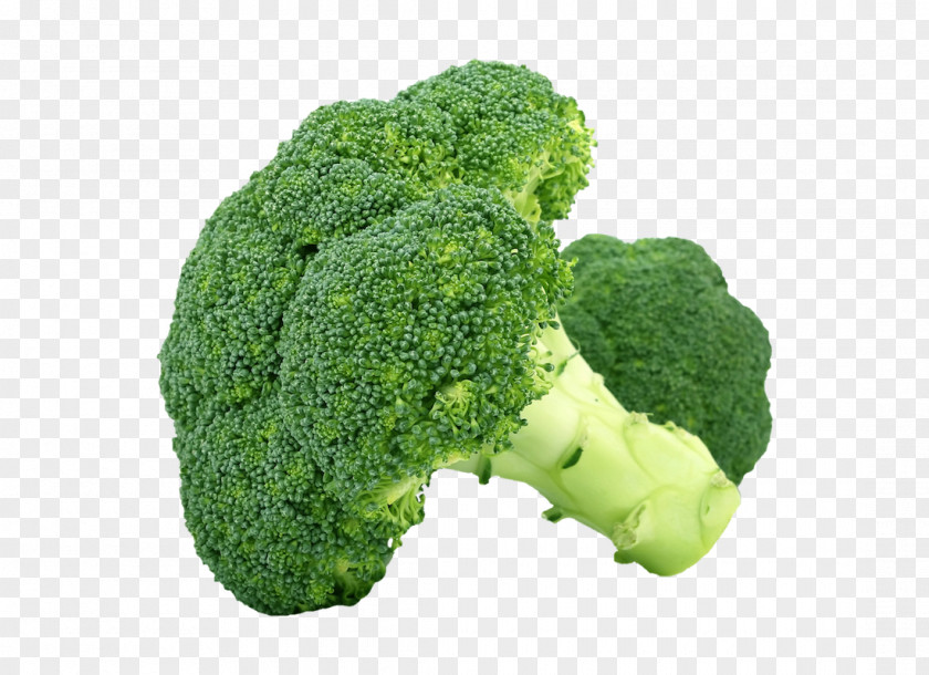Broccoli Organic Food Vegetable Cabbage Sulforaphane PNG