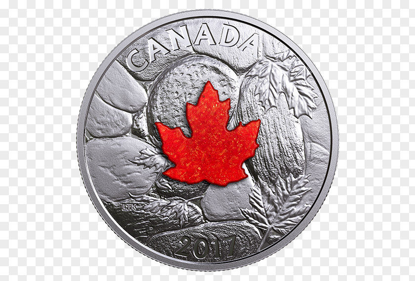 Coin Canadian Gold Maple Leaf Silver PNG