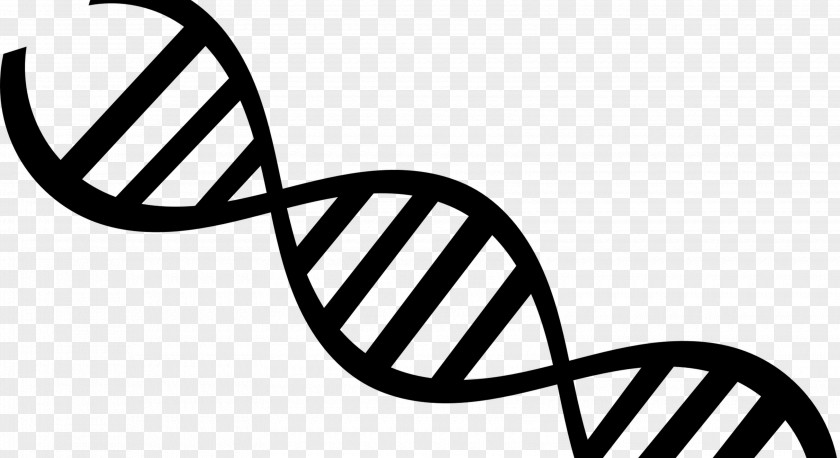 DNA Transparency Nucleic Acid Double Helix Clip Art PNG