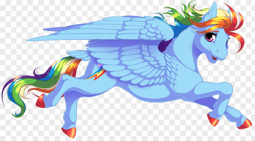 Horse My Little Pony Rainbow Dash Sunset Shimmer PNG