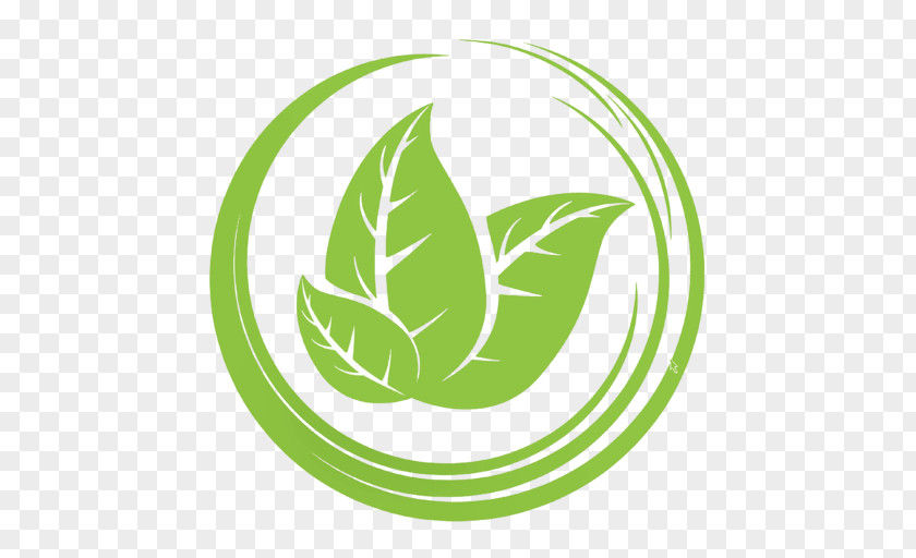 Leaf Logo Plant PNG
