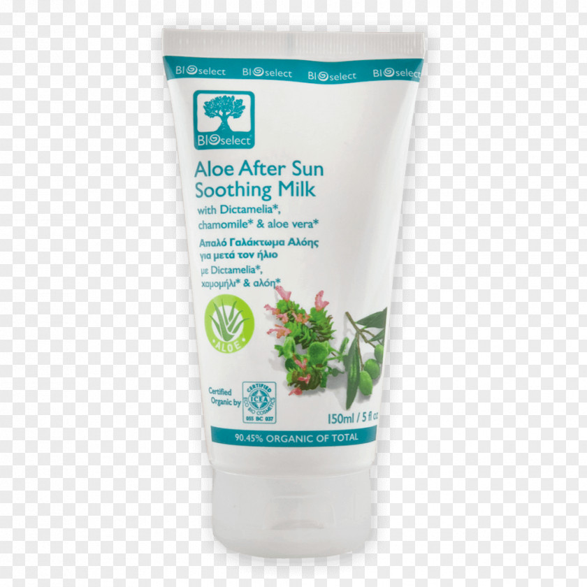 Oil Olive Lotion Milk Sunscreen Cream PNG