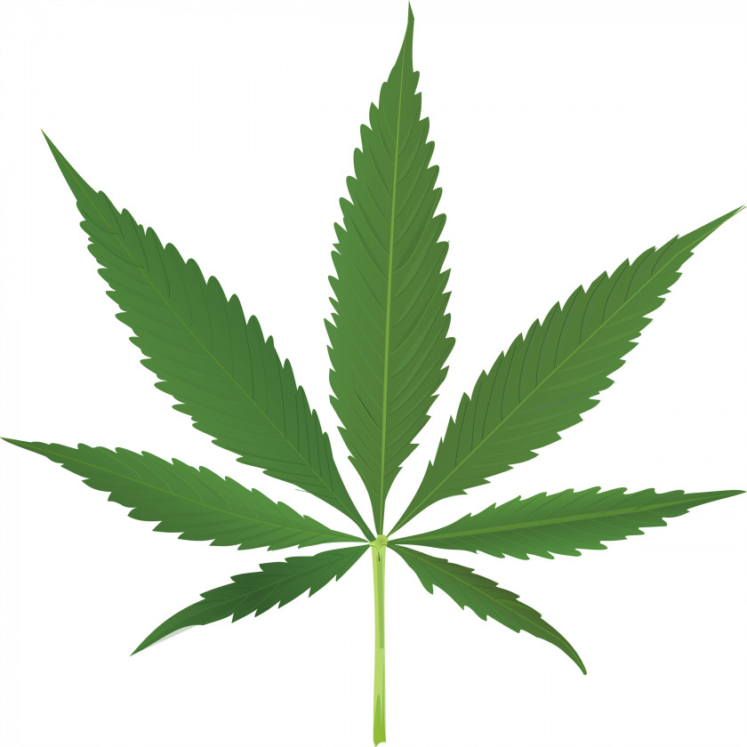 Skunk Cannabis Leaf Hemp Clip Art PNG