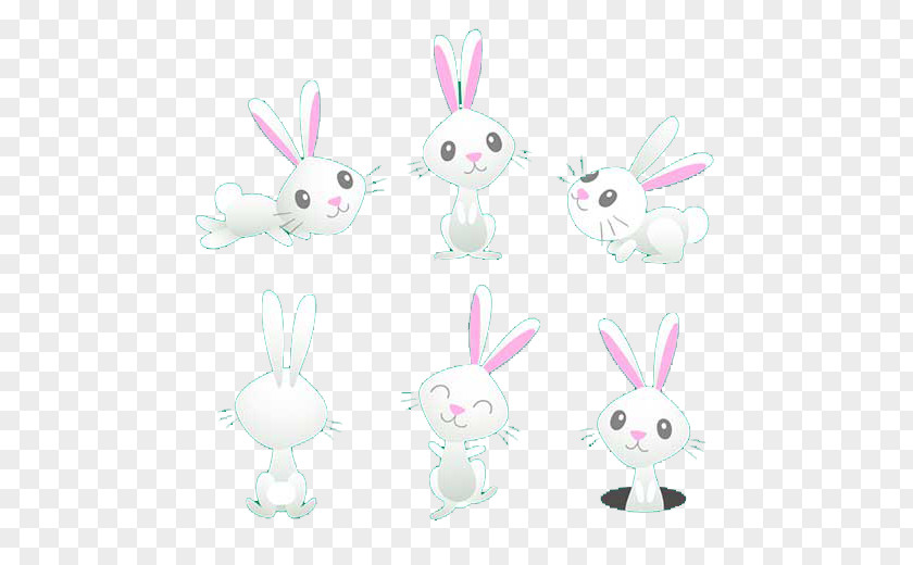 Cute Little Bunny White Rabbit PNG