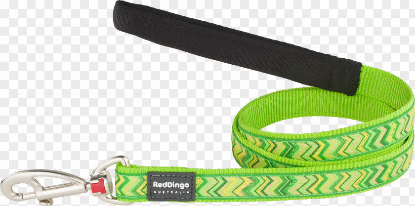 Design Leash PNG