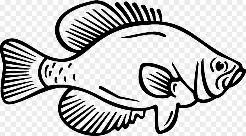 Fish Coloring Book White Crappie Black PNG