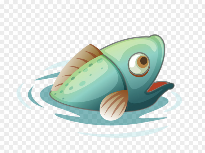 Fish Image Cartoon 热带观赏鱼 Drawing PNG