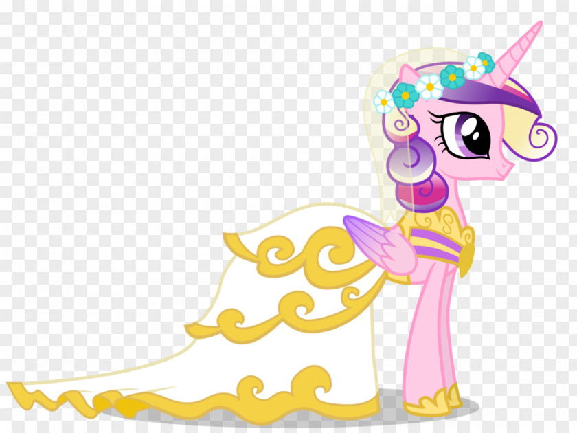 My Wedding Princess Cadance Rainbow Dash Twilight Sparkle Pony A Canterlot PNG