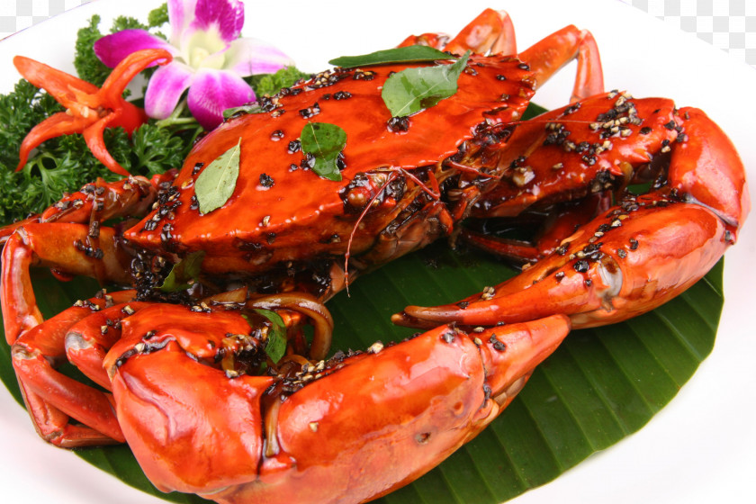 What A Big Crab! Chilli Crab Singaporean Cuisine Black Pepper PNG