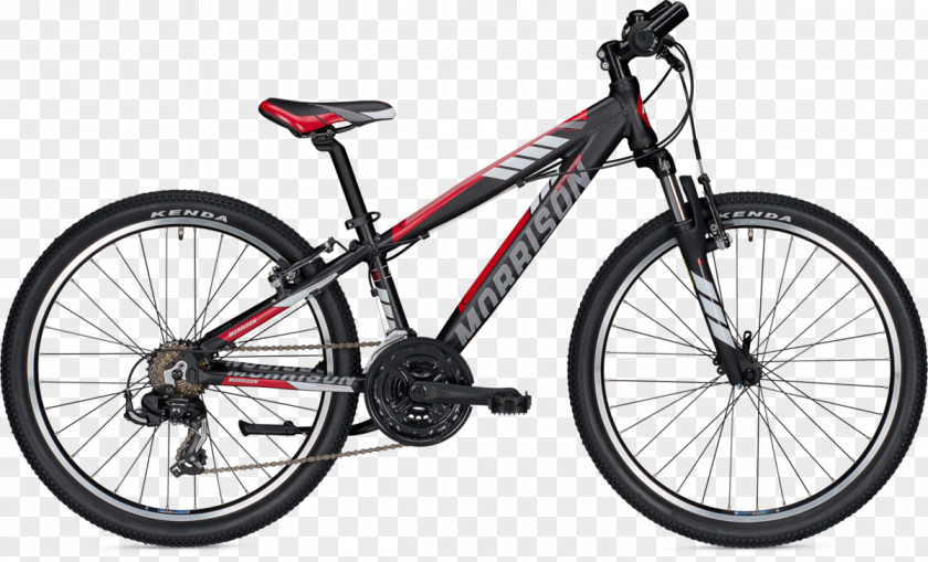 Matthew Morrison Giant Bicycles Mountain Bike Cycling Rental PNG