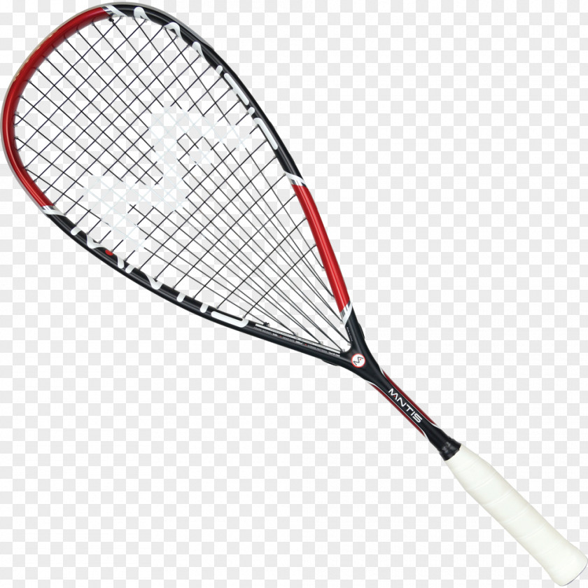 Squash Sport Racket Racquetball Head PNG