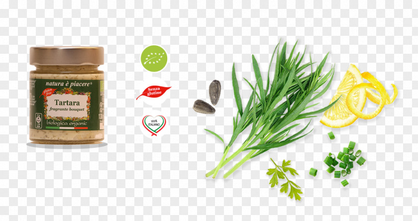 Tarragon Natural Foods Herbalism PNG