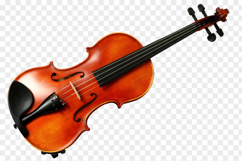 Violin Musical Instruments Musician Dance PNG