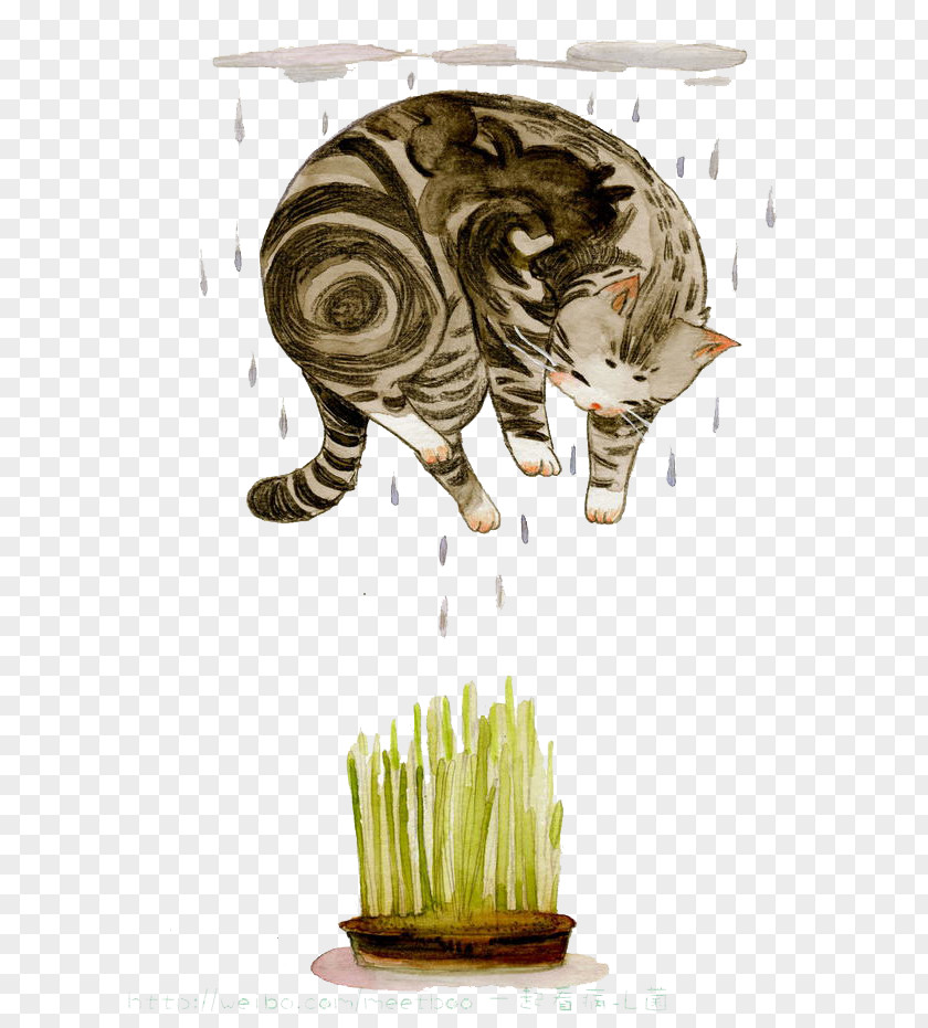 Watercolor Cat Watercolour Flowers Illustration PNG