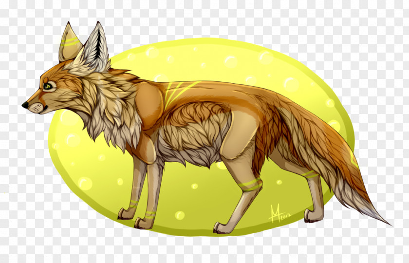 Wolf Drinking Water Red Fox Fauna Illustration Cartoon Wildlife PNG