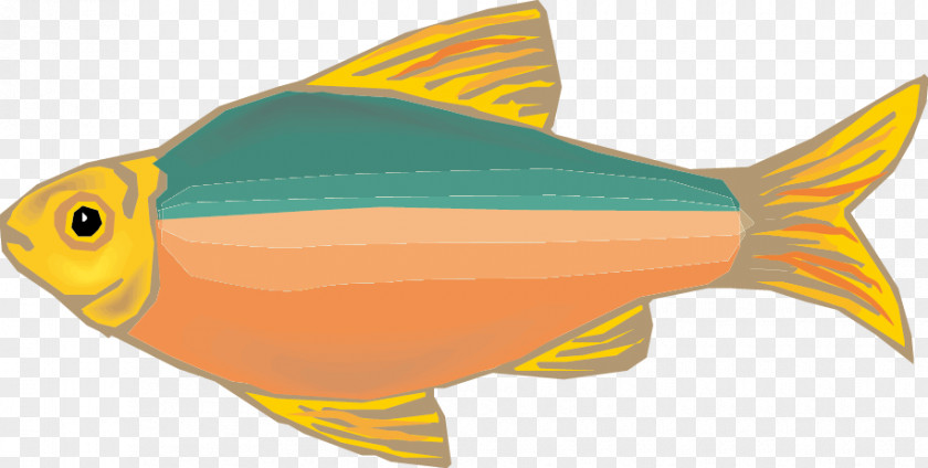 Cartoon Fish Drawing Euclidean Vector PNG