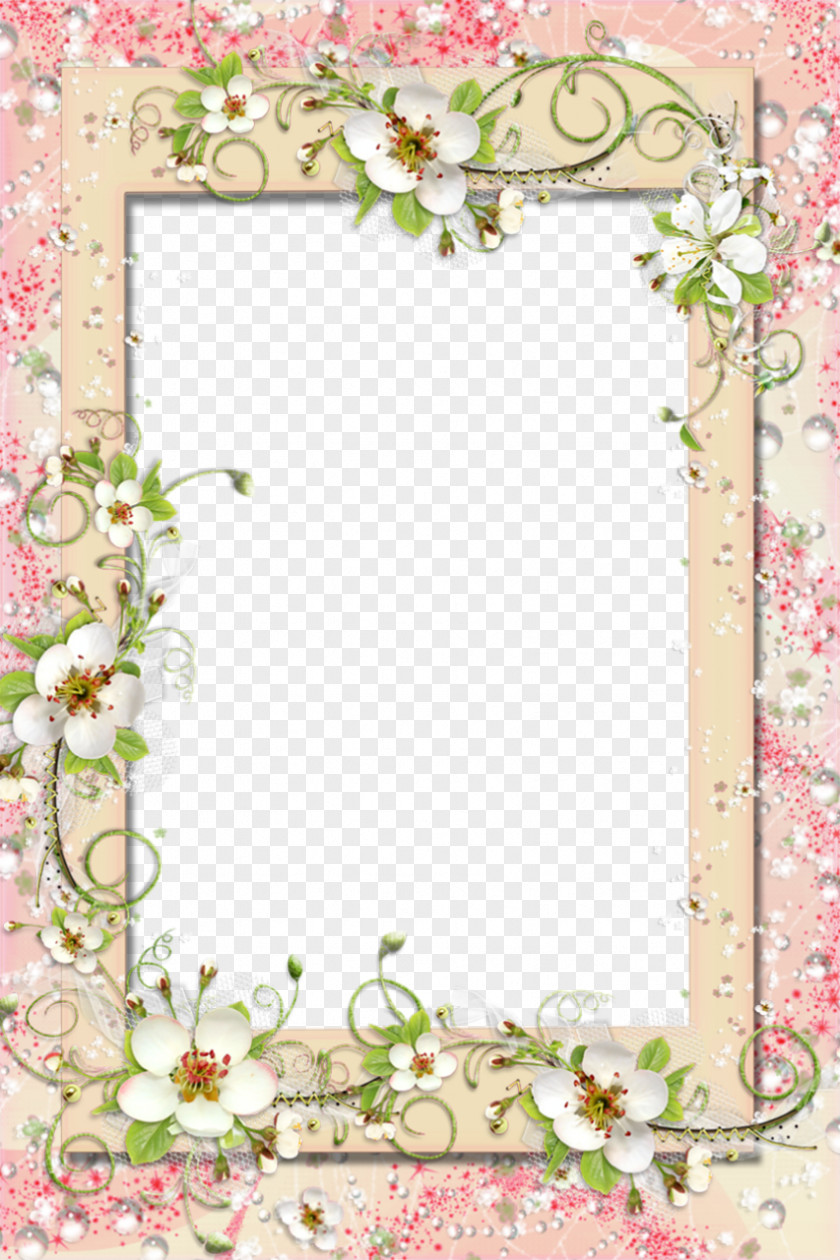 Floral Border Picture Frames Flower Clip Art PNG