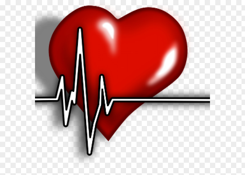 Heart Acute Myocardial Infarction Cardiac Muscle Ailment PNG