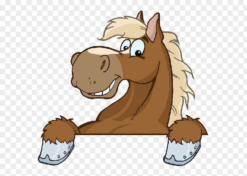 Horse Cartoon Clip Art PNG