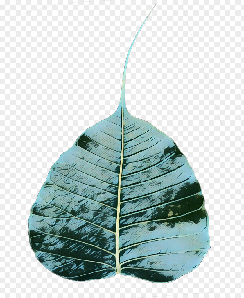 Leaf PNG