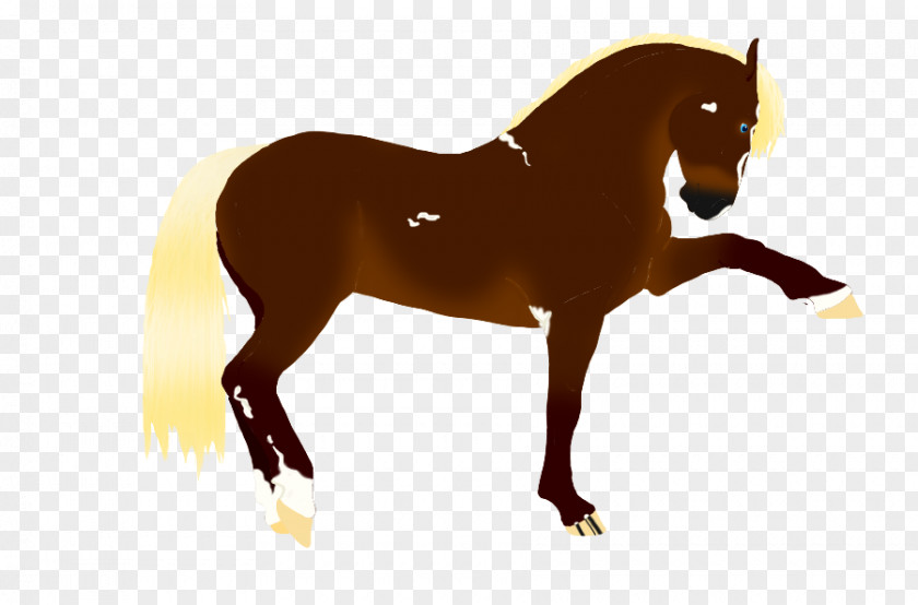 Mustang Mane Stallion Pony Mare PNG