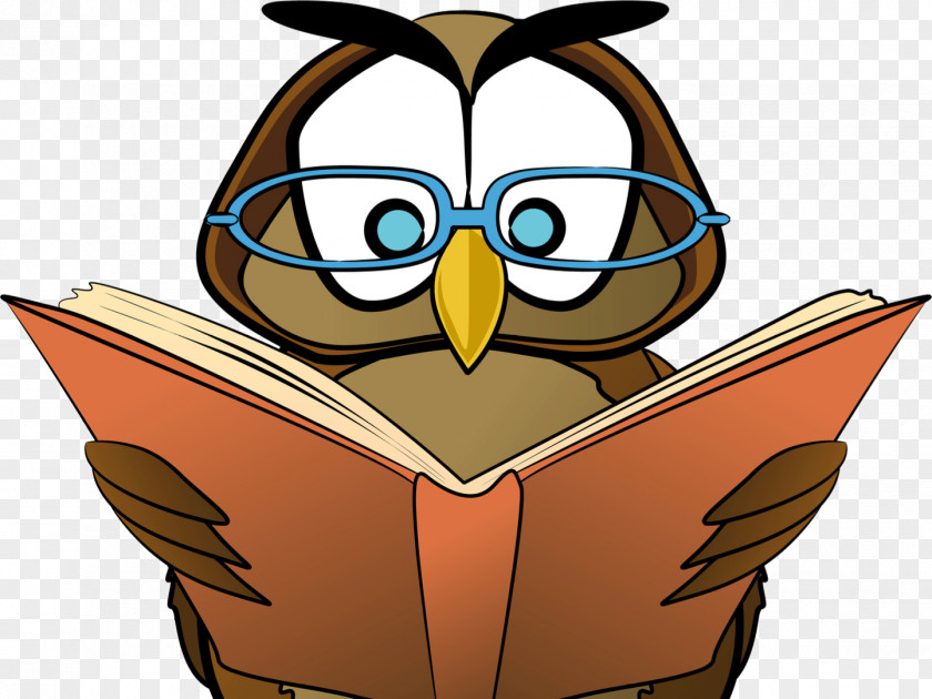 Owl Language Arts English Reading Writing Class PNG